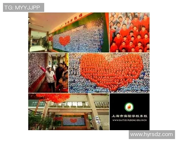 深圳排球队防守革新之路探索与实践的深度分析与展望